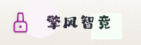 合作伙伴
